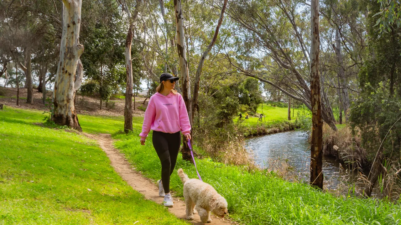 A woman walking her dog along a grassy path beside a creek lined with gum trees